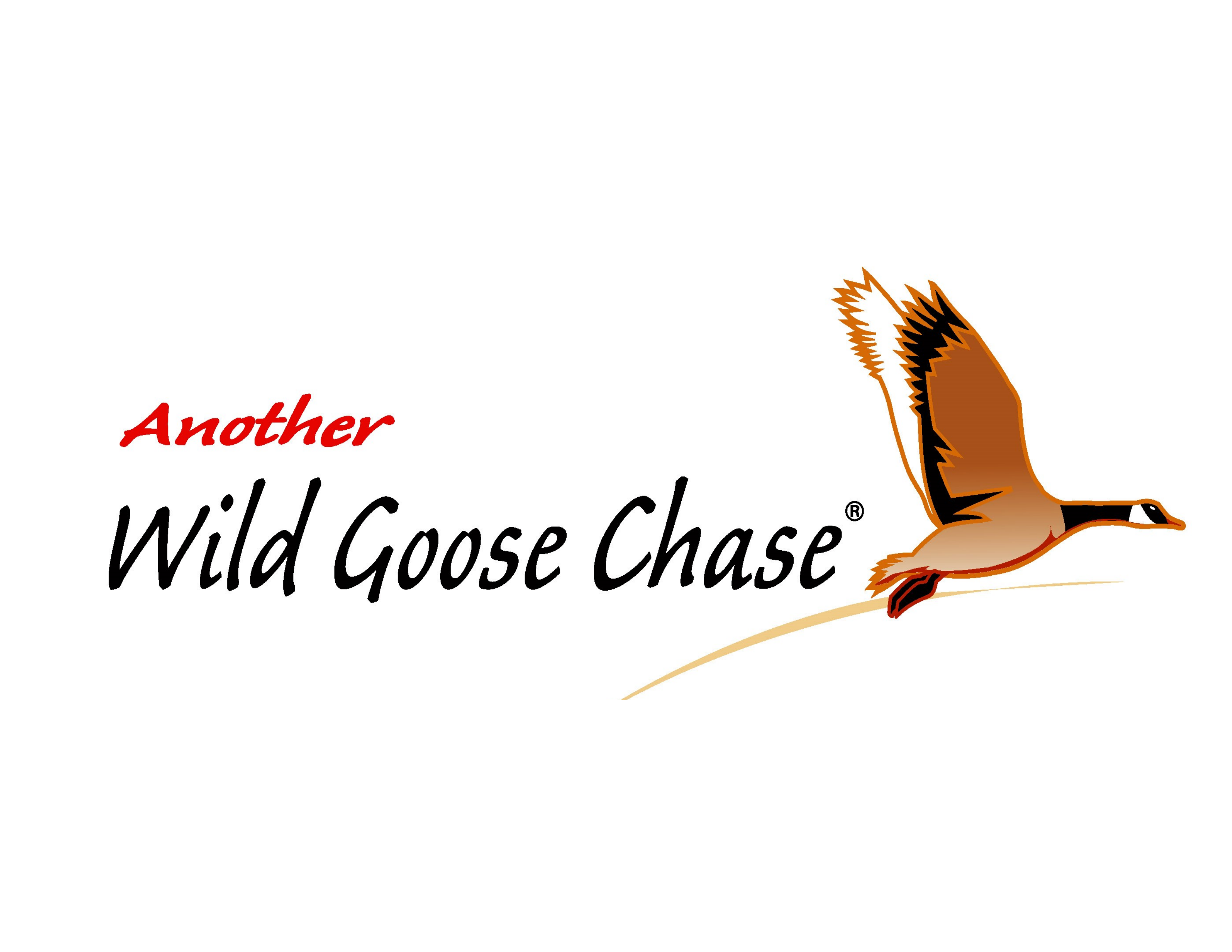 Wild Goose Chase