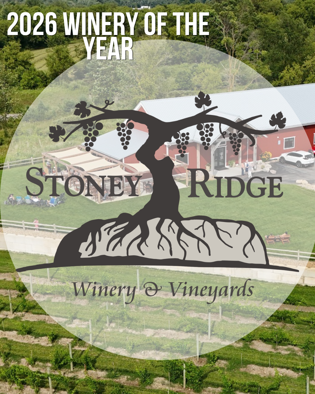 TMIEM WINERIES (11)
